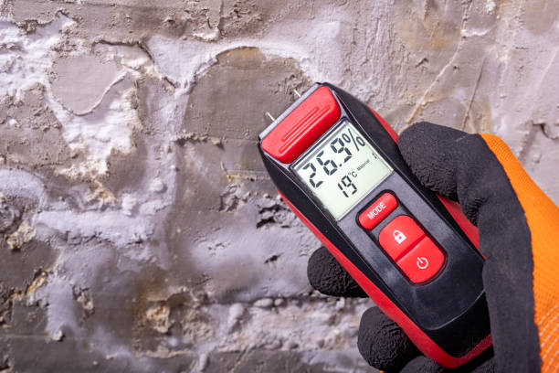 Best Commercial Mold Remediation in Monroeville, OH